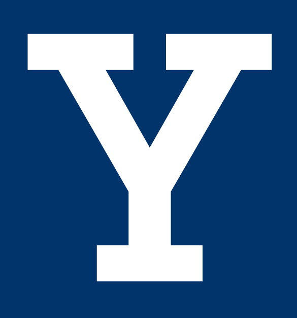 Yale Bulldogs 0-Pres Alternate Logo t shirts DIY iron ons v2
